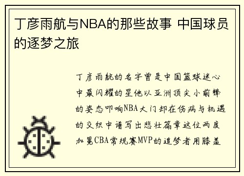 丁彦雨航与NBA的那些故事 中国球员的逐梦之旅